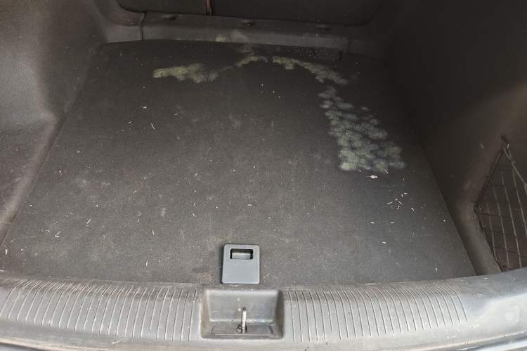 Used Buick Regal 2019 20T Elite Version China V Standard