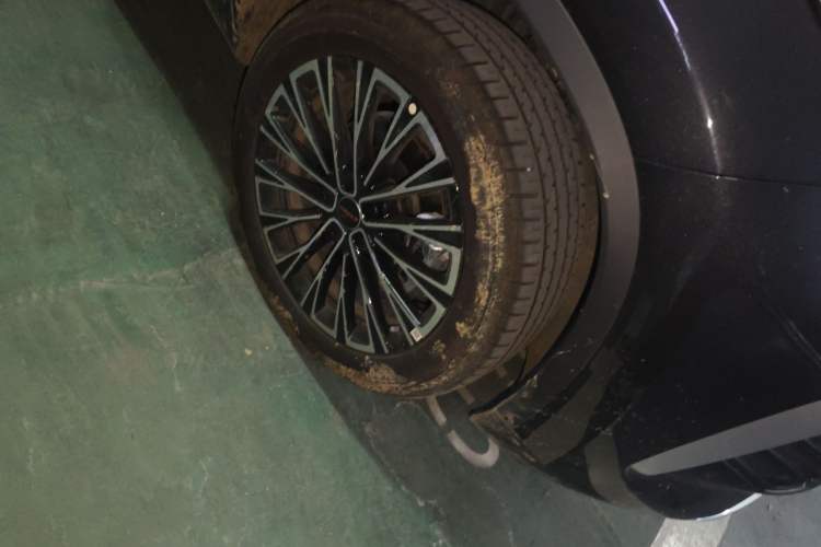 Used EXEED Lingyun 2025 300T Two-Wheel Drive Starry Edition