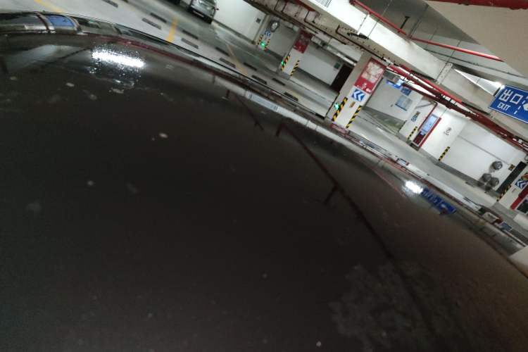 Used ORA Black Cat 2022 351 km Comfort Version Lithium Iron Phosphate Roof