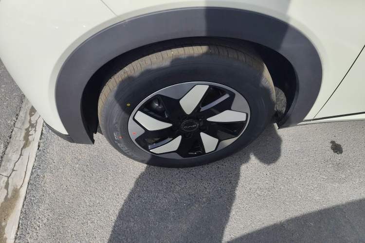 Used BYD Dolphin 2025 420km Free Edition