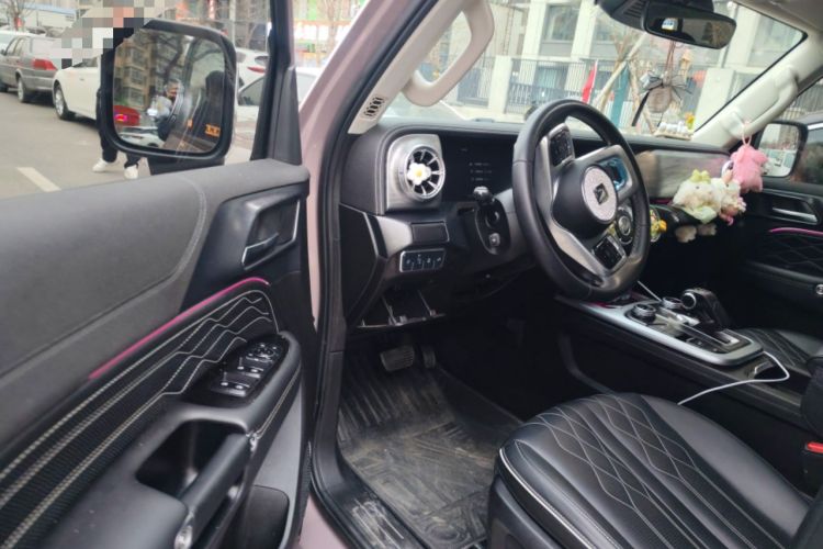 Used Tank 300 2021 City Edition 2.0T My Vision Model
