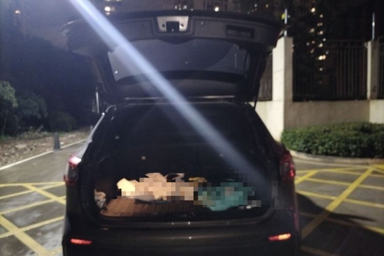 Used Nissan Qashqai 2023 Classic 2.0L CVT XV Comfort Edition