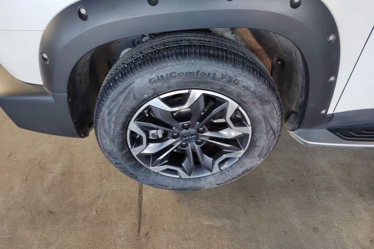 Used Haval DARGO 2022 2.0T DCT 4x4 Chinese Rural Dog Hunting Edition
