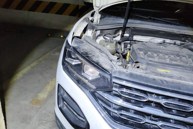 Used Volkswagen Tayron 2019 330TSI Two-Wheel Drive Luxury Model China VI Standard
