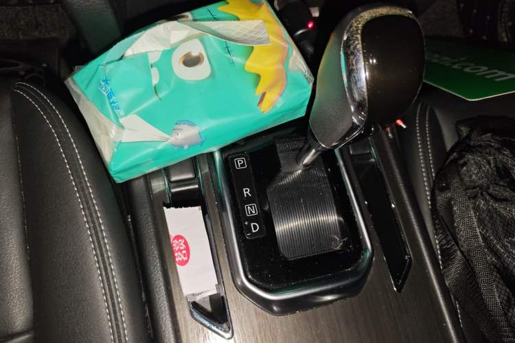 Used Venucia T90 2018 2.0L CVT Smart Connect Luxury Edition China V Standard
