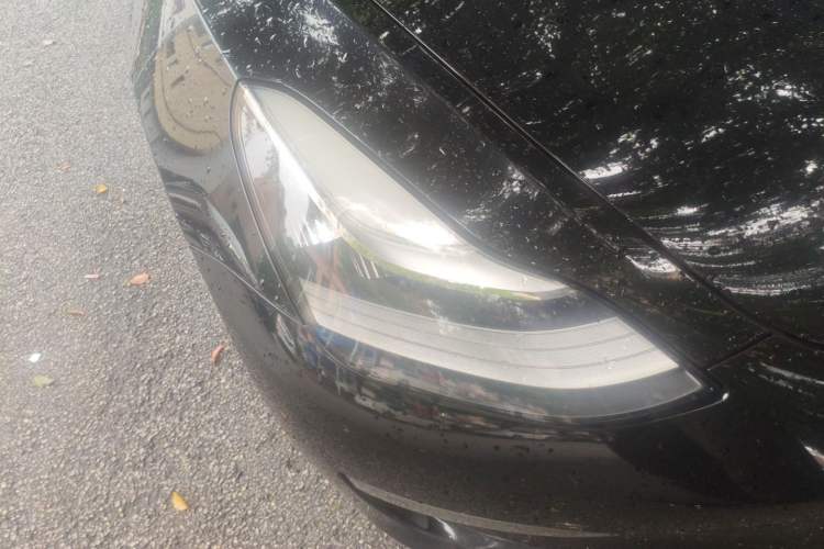 Used Tesla Model 3 2019 Long-Range All-Wheel-Drive Version
