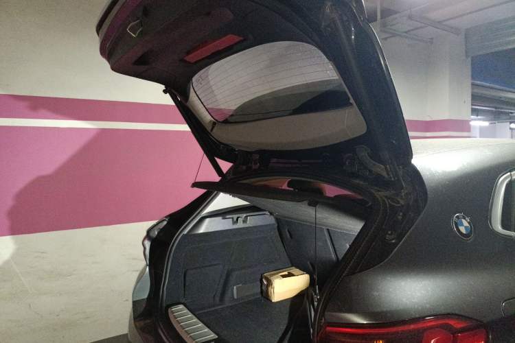 Used BMW X2 2019 sDrive20i M Sport Package China VI Emission Standard
