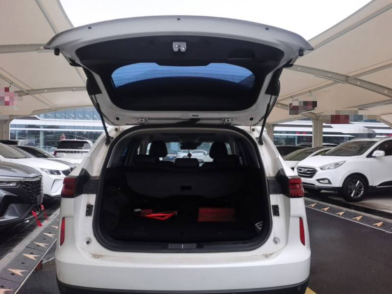 Used Haval H6 2021 3rd Generation 2.0T Automatic Two-Wheel Drive Max — 18