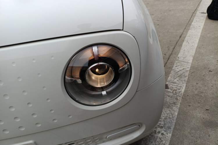 Used ORA Black Cat 2019 351 km Family Edition
