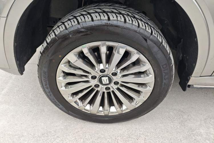 Used Tank 500 2022 3.0T Business Edition "Creation Realm" Design 5-Seater
