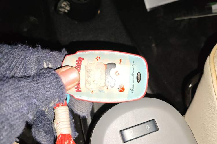 Used ORA Black Cat 2021 301 km Basic Version