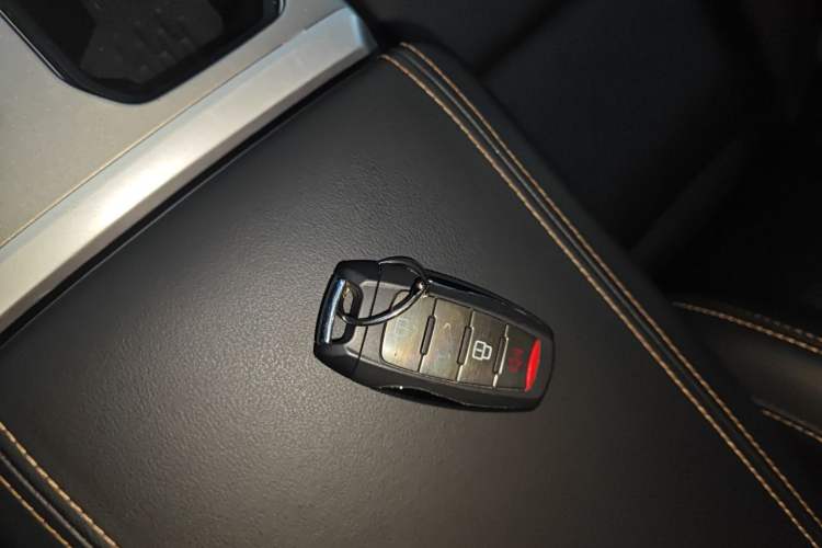 Used Haval DARGO 2024 2.0T DCT Chinese Rural Dog Edition
