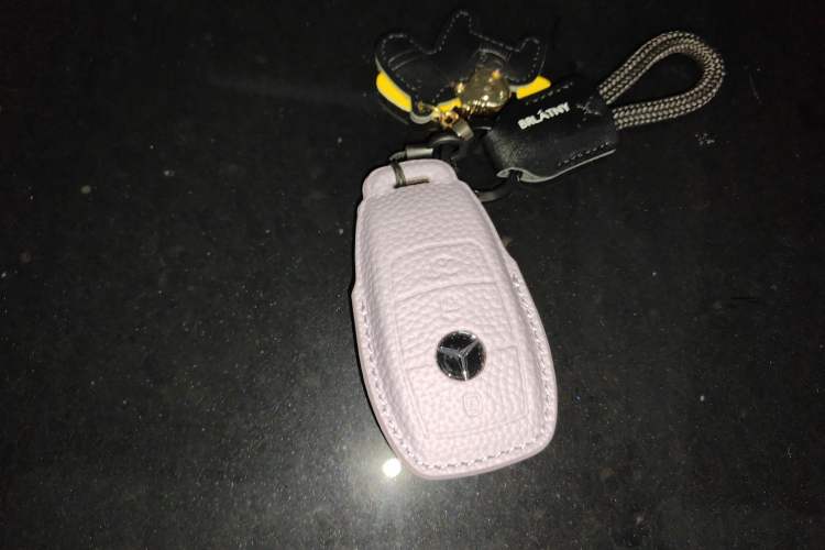 Used Mercedes-Benz E-Class 2023 Updated E 300 L Luxury Edition
