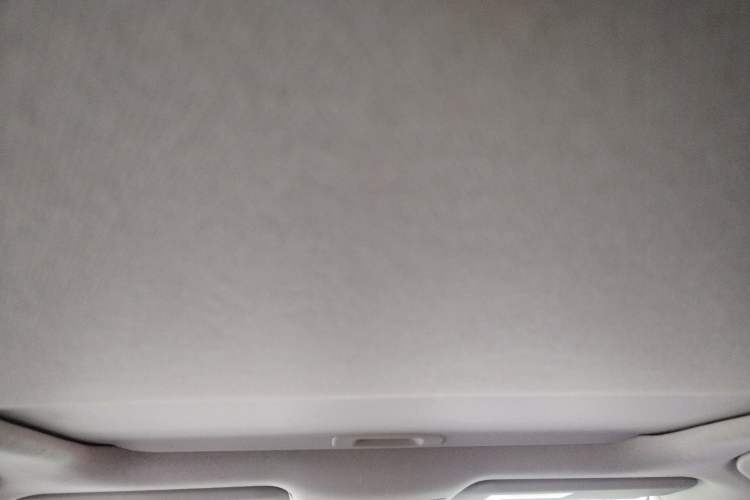 Used Toyota Corolla 2019 1.2T S-CVT GL-i Luxury Edition Headliner