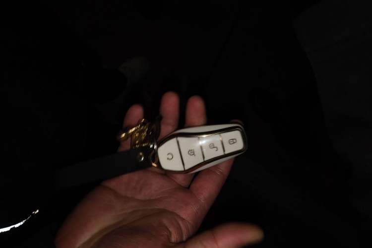 Used BYD Song PLUS New Energy 2023 Champion Edition DM-i 110KM Flagship PLUS