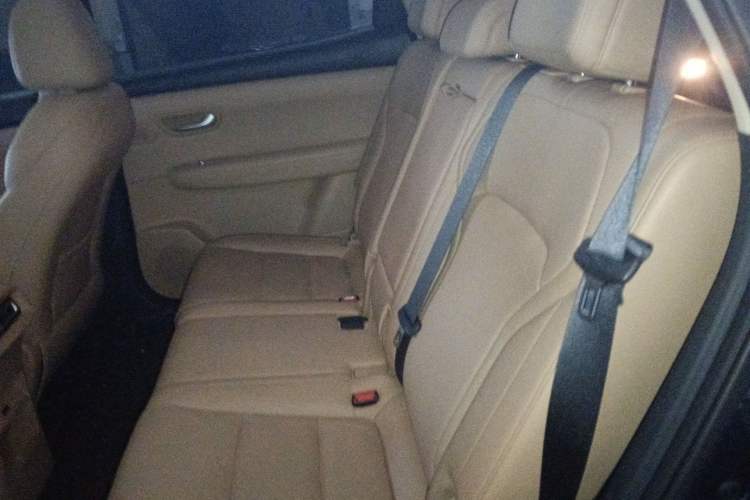 Used Landian E5 PLUS 2025 165 km Long-Range Version 7 Seats