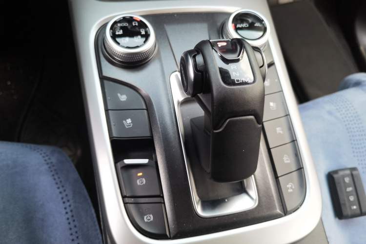 Used Tank 300 2024 2.0T Crosser
