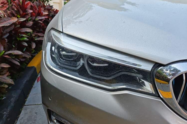 Used BMW 5 Series New Energy 2019 530Le Luxury Package