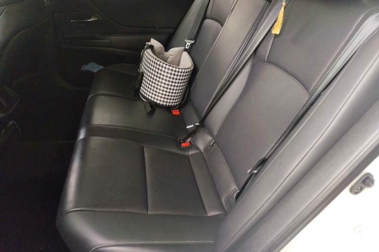 Used Lexus ES 2018 300h Premier Edition China V Standard Left Rear Seat