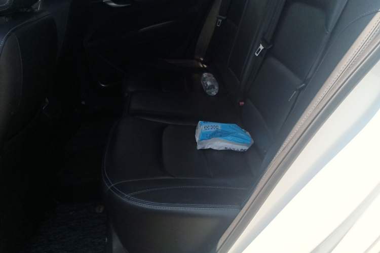 Used Geely Auto Emgrand New Energy 2018 EV450 Ambition Model Left Rear Seat