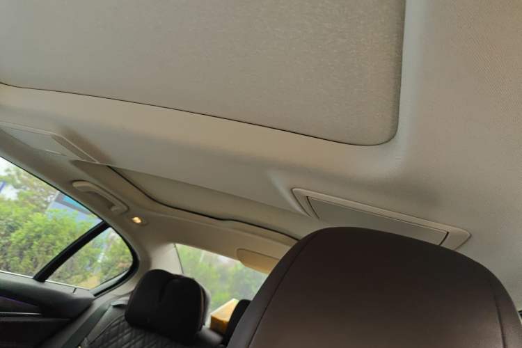 Used BMW 5 Series New Energy 2019 530Le Luxury Package
