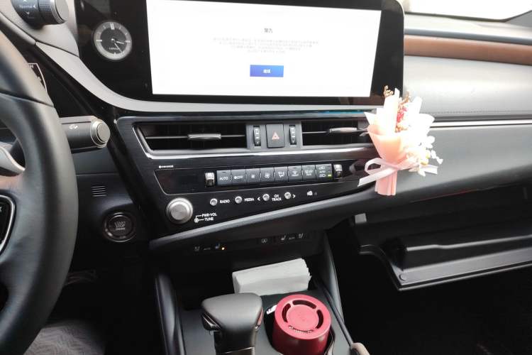 Used Lexus ES 2024 200 Premium Edition Audio And AC Panel