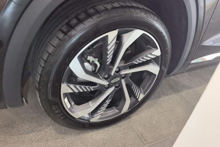 Used Geely Auto Monjaro L 2024 2.0TD High-Power Automatic Two-Wheel Drive Skyline Edition
