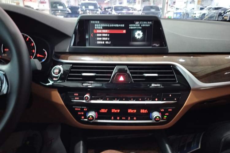 Used BMW 5 Series 2018 528Li Launch Special Edition
