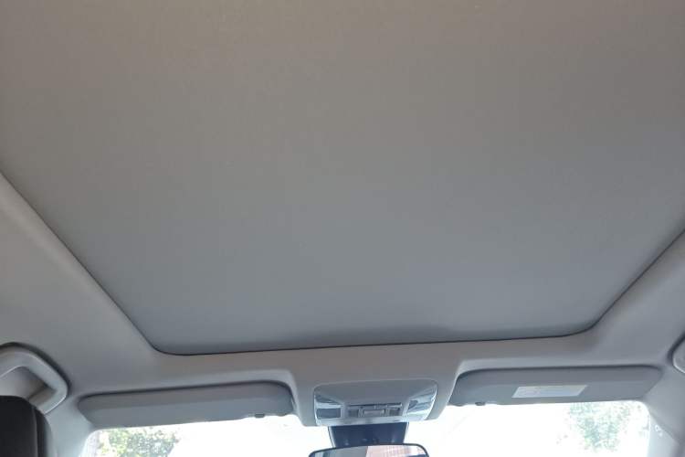 Used Toyota Wildlander 2024 2.0L CVT 4x4 Luxury PLUS Edition Headliner