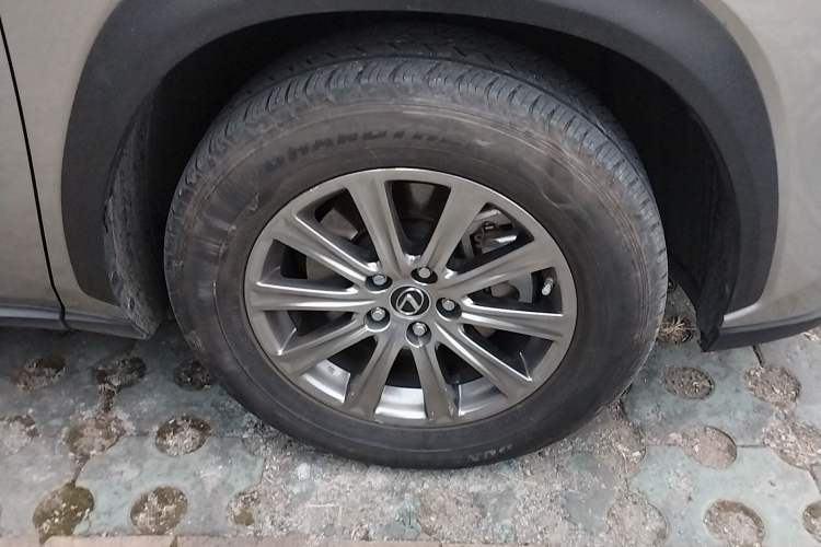 Used Lexus NX 2020 200 Front-Wheel Drive Freeline Edition China V Standard
