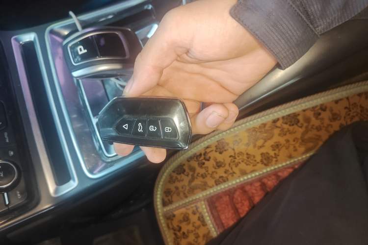 Used Geely Auto Emgrand New Energy 2018 EV450 Elite Model
