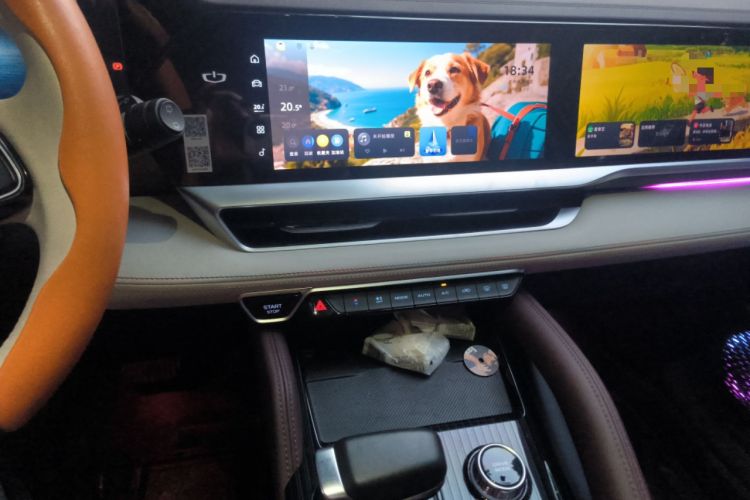 Used Geely Auto Monjaro L 2024 2.0TD High-Power Automatic Two-Wheel Drive Yunqi Version