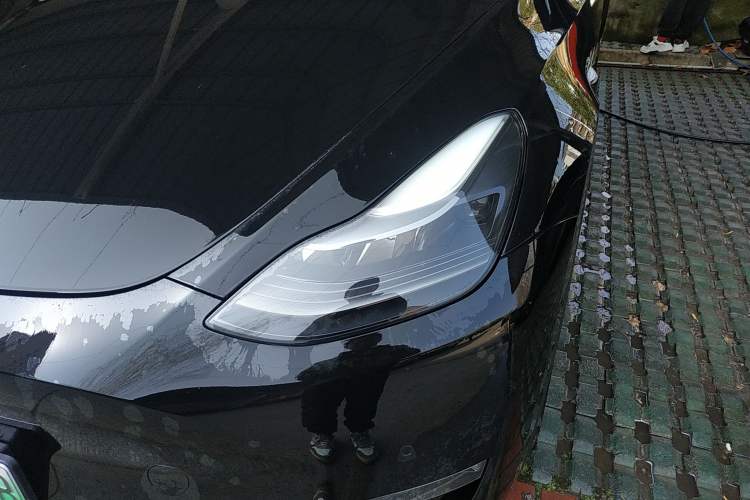 Used Tesla Model Y 2021 Standard Range Rear-Wheel Drive Version