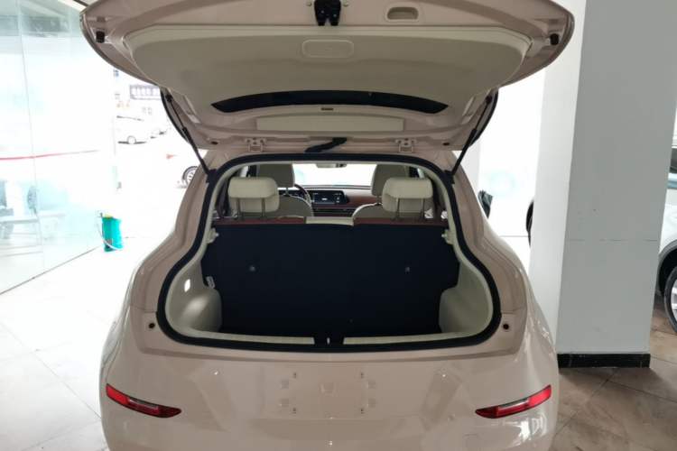 Used ORA Good Cat 2023 401 km Standard Range Luxury Version Ternary Lithium
