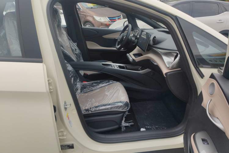 Used BYD Dolphin 2025 420km Fashion Edition Right Front Seat