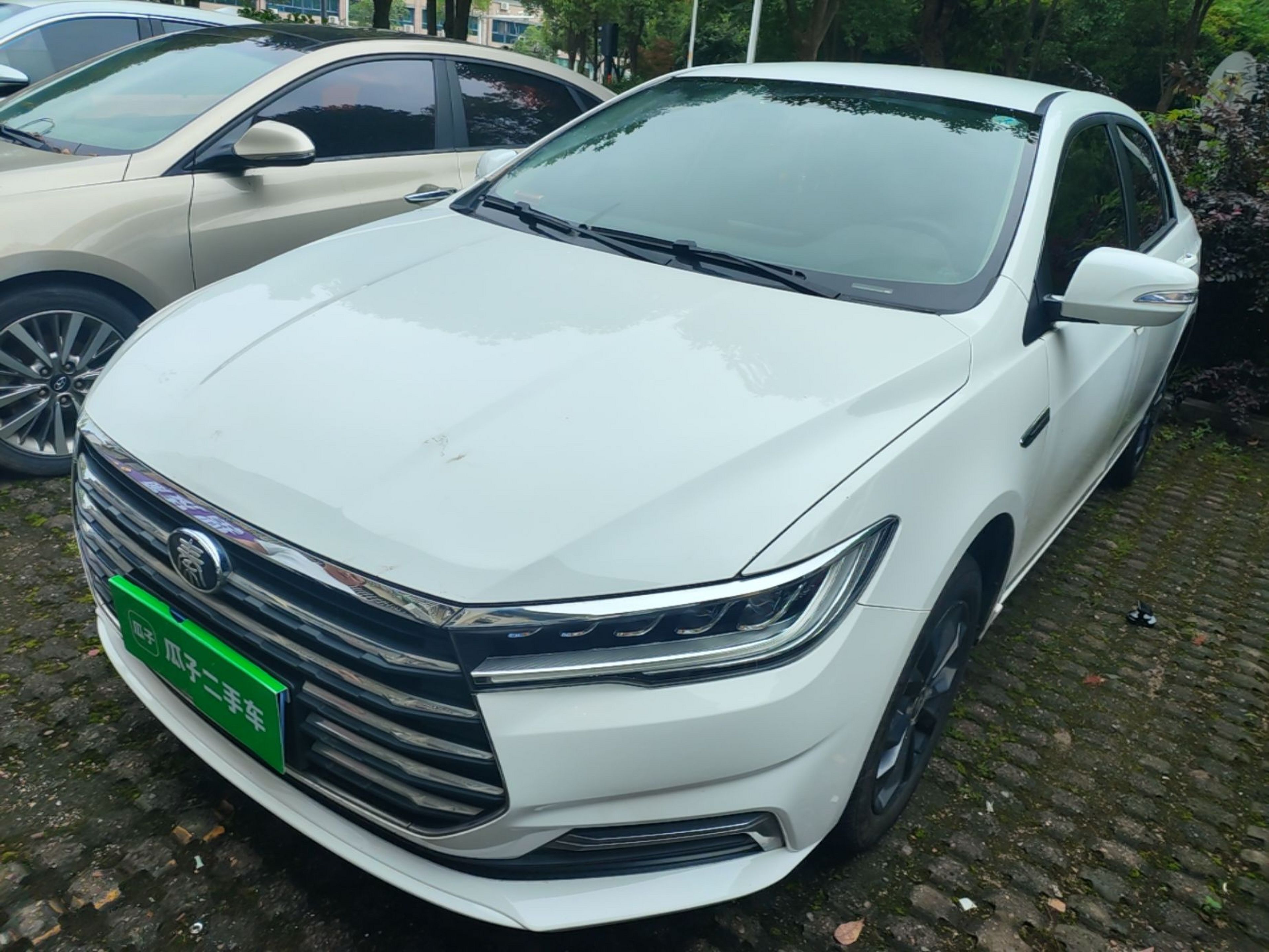 Under Front Bumper
