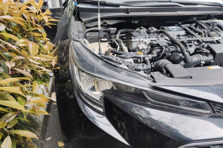 Used Toyota Levin 2019 Dual-Engine 1.8H E-CVT Luxury Edition China VI Standard Right Front Headlight