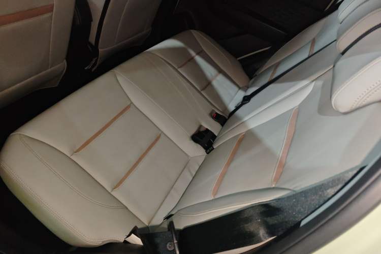 Used SOL E10X 2022 Flower Fairy Design Four-Leaf Clover Left Rear Seat