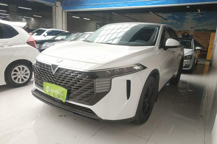 Used Venucia V 2024 260T Idol Joy Ride Pro Edition