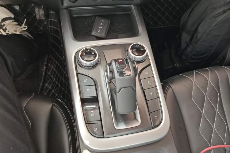 Used Tank 300 2024 2.0T Challenger
