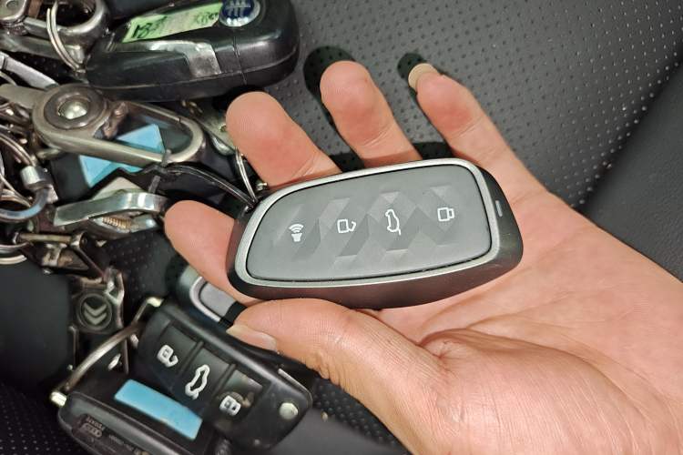 Used Haval H Dog New Energy 2023 DHT-PHEV 105km Tide Electric Version Plus