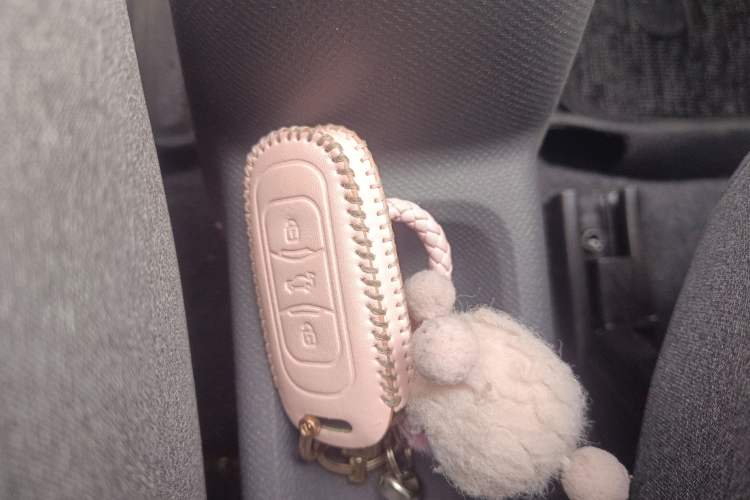 Used Geely Galaxy Panda 2024 Panda Mini 200km Endurance Bear
