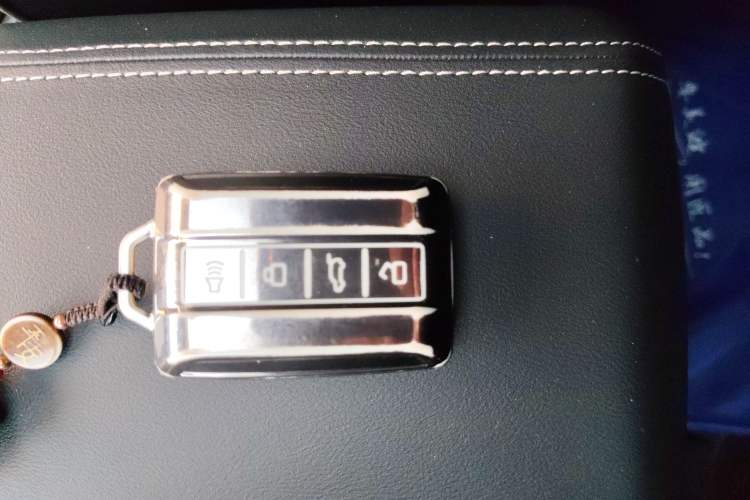 Used Tank 300 2024 2.0T Challenger Vehicle Key