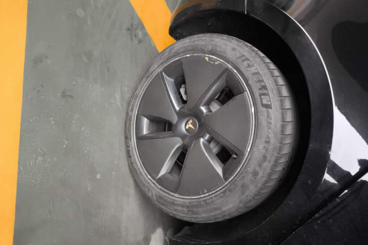 Used Tesla Model 3 2021 Standard Range Rear-Wheel Drive Upgraded Version 3D6
