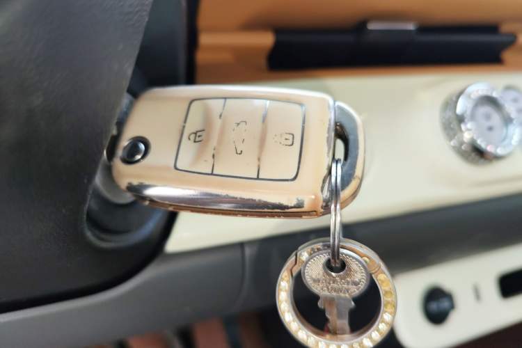 Used Qiyuan Lumin 2023 205km Xiangqin Version
