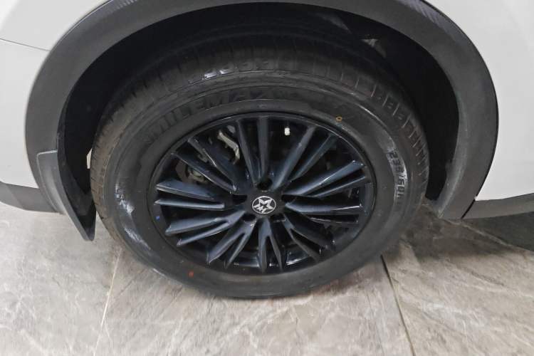 Used Venucia V 2023 260T Idol Edition Pro