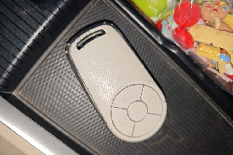 Used ORA Good Cat 2021 400km Standard Range Athena Edition Lithium-Ion Battery
