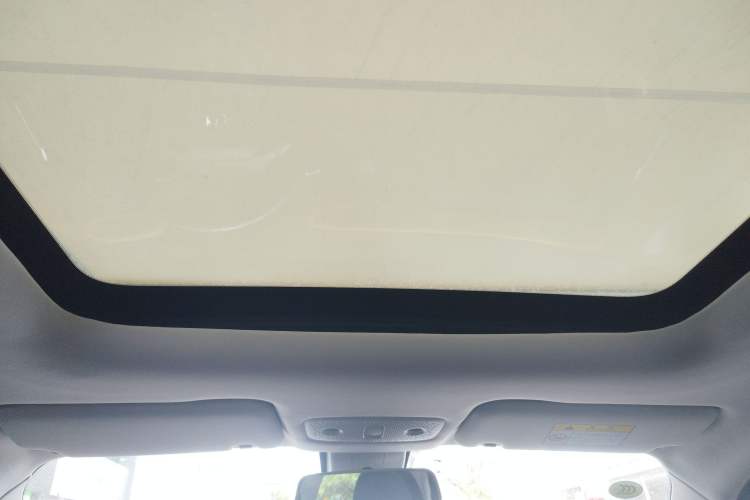 Used Leapmotor T03 2020 400 Luxury Edition Headliner