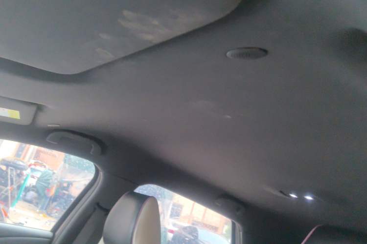 Used BYD Dolphin 2023 420 km Free Version Headliner