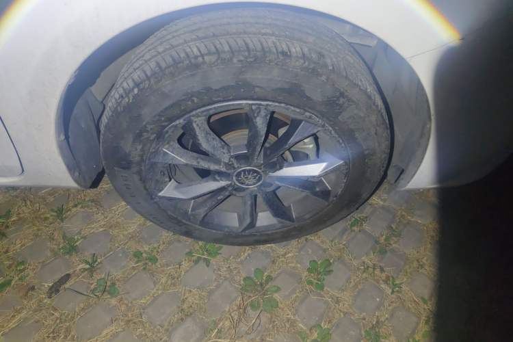 Used BYD Qin 2019 1.5L Automatic Luxury Model